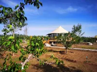 Colorful Danxia Haisheng Tent Hotel Hotels in Linze