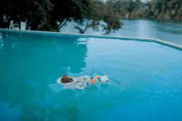 The Thousand And One Tourism & Homestay - Villas