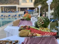 Sentido Kyknos Beach Adults Only - Morgenmad