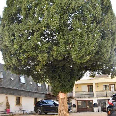 Brit Hotel Dijon Centre Gare