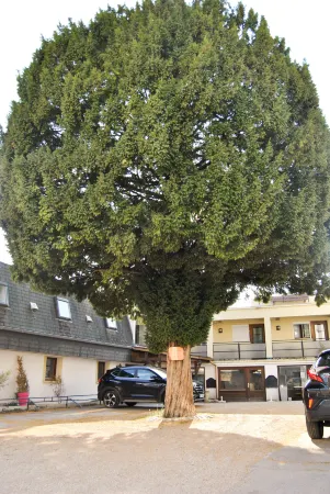 Hôtel le Thurot Отели рядом с достопримечательностью «Museum of the life of Bourguignonne»