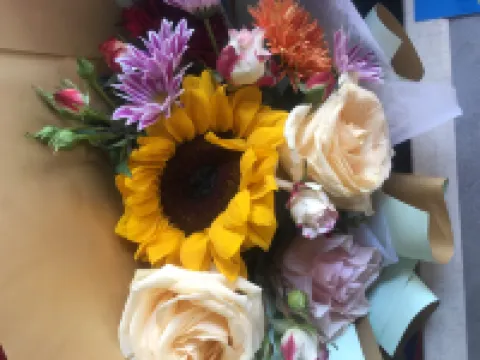 新鄭輕雲小築民宿（西亞斯學院店）