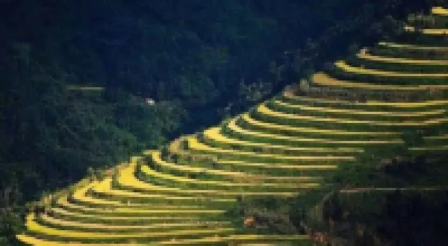 Shidian Jinhua Homestay