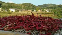 Tianpu Hanji Farmhouse Cuisine