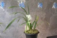 Heqing County Beiya Xingfu Hotel - pemandangan pegunungan