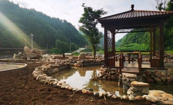 Qingyuan Starry Sky Country Chao Homestay