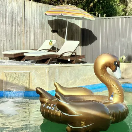 Sydney Golden Swan Holiday house with Pool, Spa, Game Room,150Inch Projector and Smart House