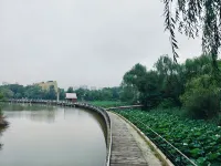 Dezhou Weipai Wanxin Ruibo Hotel Hotels near Fairy Lake