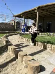 Millennium Populus euphratica Folk Culture Village