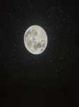 카이장 싱위 호텔 - 2성급