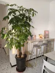 Wumang Female Only Hostel (Zhixincheng) - 2 Yıldız