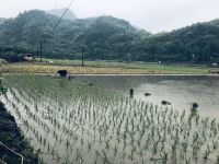 绩溪烟雨江南民宿 - 酒店附近