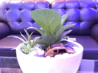CK Hotel