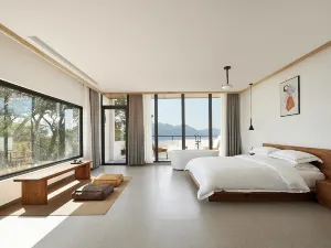 Serendipity House