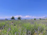 Huocheng Yujianxiangye B&B (Huanghuang Village Branch) - Mountain view