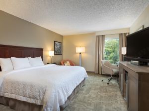 Hampton Inn Houston-Near the Galleria