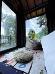 Yard Homestay