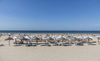a sandy beach with numerous umbrellas and lounge chairs set up for people to relax and enjoy the sun at Riviera Hotel
