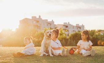 Kennels Pet-Friendly Hotel