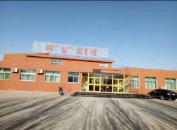 Alxa Youqi Yayan Hotel