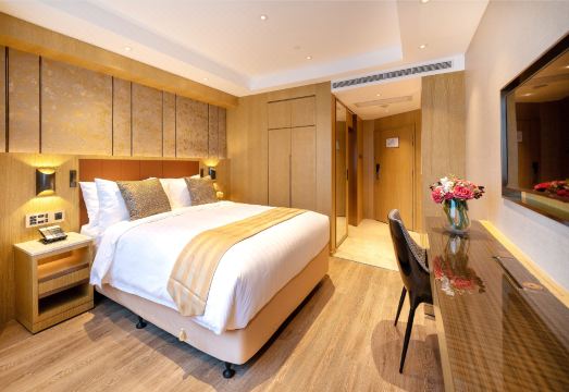 2. 그랜드 드래곤 ..