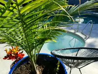 Noosa River Retreat - Spa