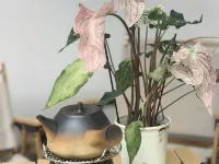 居無竹民宿（何園皮市街店） 鄰近何園的酒店