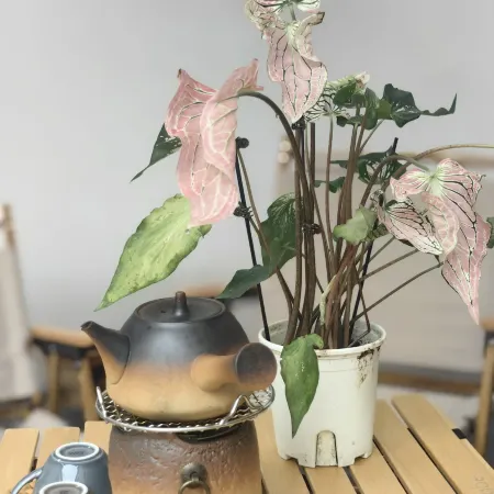 Ju Wuzhu Homestay (Heyuan Pishi Street Branch)