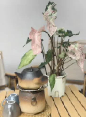 居無竹民宿（何園皮市街店）