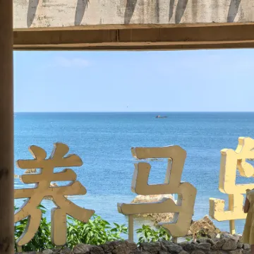 Mountain and Sea Homestay (Yangma Island Geological Park) Hotels near Yangma Island