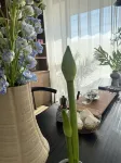Mojiang Yujing Homestay