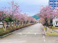 Zhongxin Business Apartment