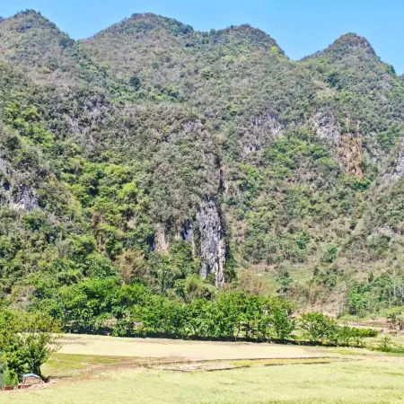 Guangnan Yiran Homeland