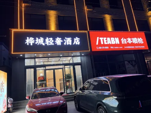 Huacheng Light‑Luxury Hotel - acceptant les animaux