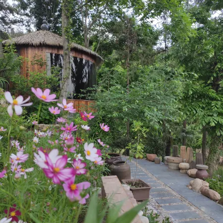 Pure &  Nature  Inn