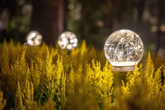 แชงกรี-ลา กวางโจว