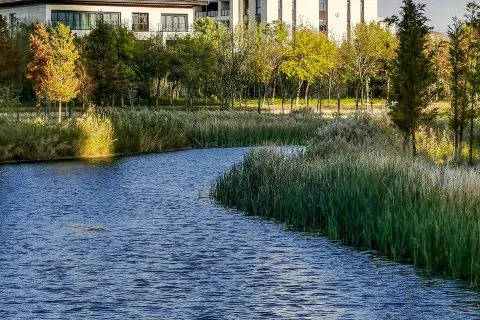 Xuchang Rebecca Furong Resort (Zhengxu Light Rail Furong Lake Station)