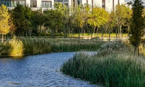 Xuchang Rebecca Furong Resort (Zhengxu Light Rail Furong Lake Station)