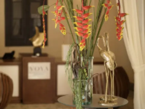 VOYA Boutique Hotel ハバナのホテル