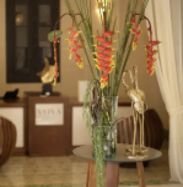 VOYA Boutique Hotel