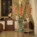 VOYA Boutique Hotel