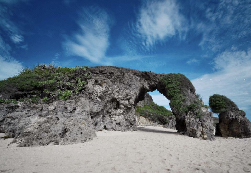 1. 베르나르도스 란..