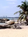 Chenxi Beach Homestay (Qishuiwan Beach Branch)