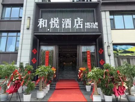 Pleasure Hotel Отели в г. Даншань