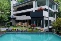 Mount Qingcheng Ziranxing Homestay - สระว่ายน้ำแบบอินฟินิตี้