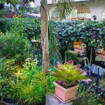 Fernando's Hotel Hotel Exterior