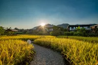 清遠米墅稻田野舍温泉民宿 - 廚房