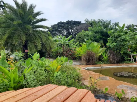 Matsya Island Retreat