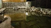 Kamenoi Hotel Kochi - Hot Springs