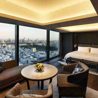 東京泛太平洋驪星飯店 Rooms